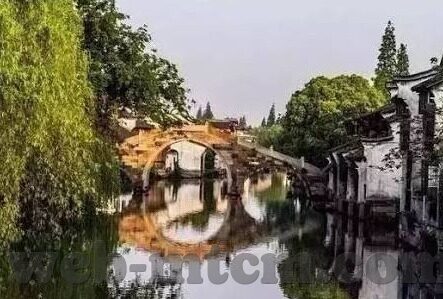 大象传媒网站下载-探索大象传媒网站下载的多元魅力